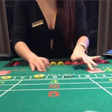 ibet8